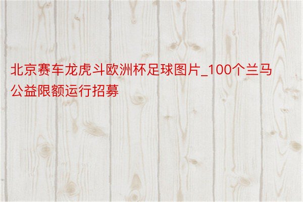 北京赛车龙虎斗欧洲杯足球图片_100个兰马公益限额运行招募