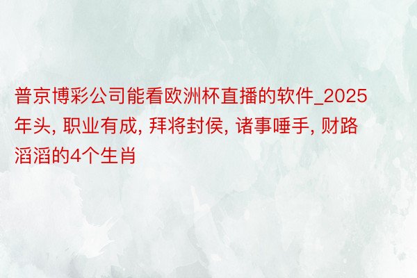 普京博彩公司能看欧洲杯直播的软件_2025年头, 职业有成, 拜将封侯, 诸事唾手, 财路滔滔的4个生肖